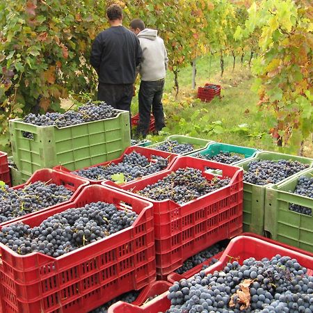 Podere Riosto Cantina&Agriturismo Pianoro Exteriér fotografie