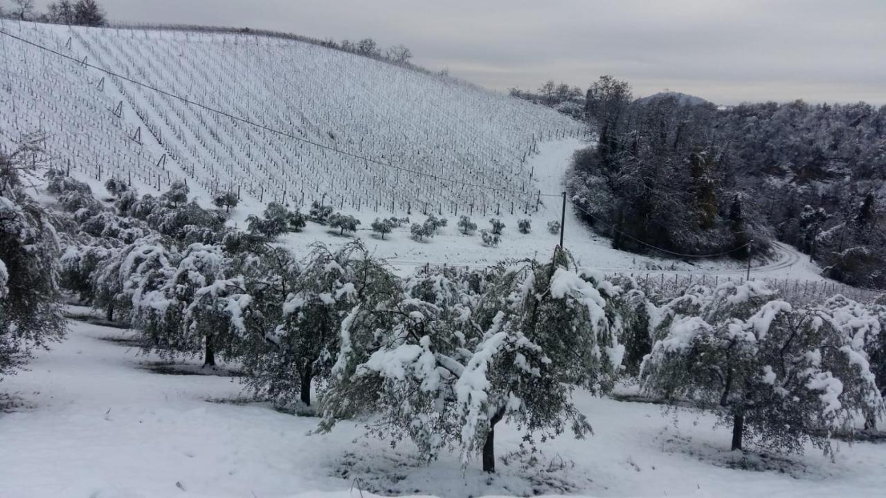 Podere Riosto Cantina&Agriturismo Pianoro Exteriér fotografie