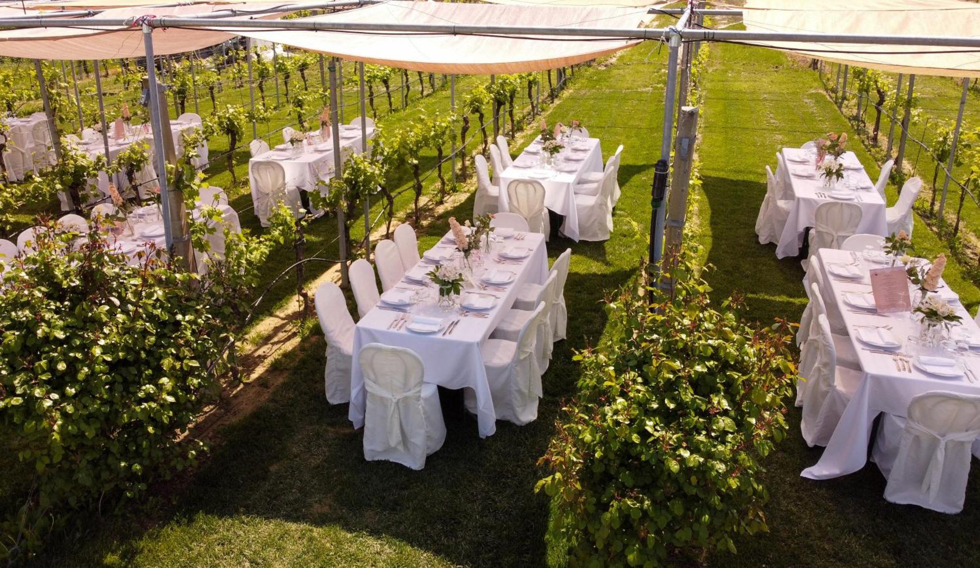 Podere Riosto Cantina&Agriturismo Pianoro Exteriér fotografie