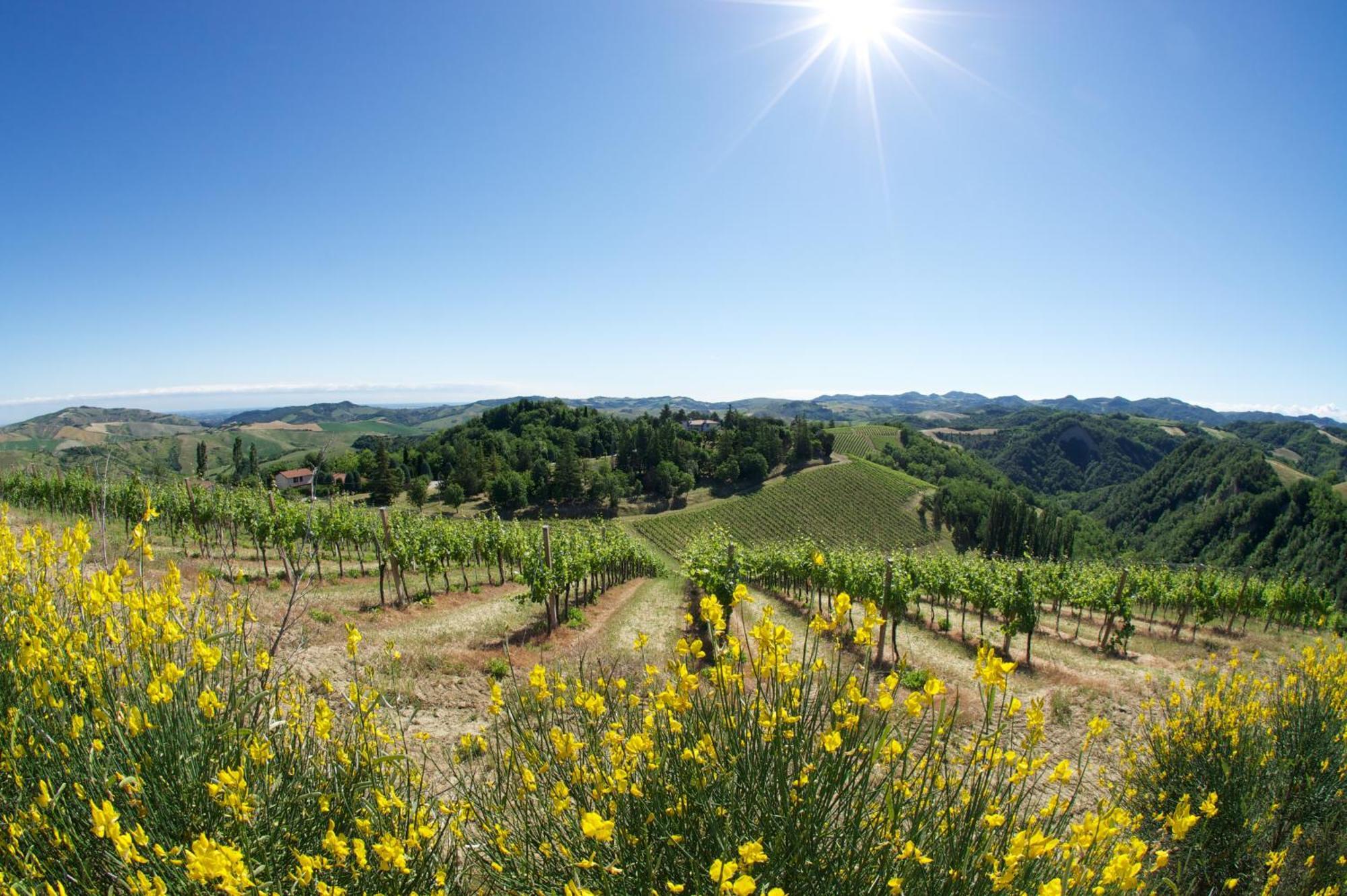 Podere Riosto Cantina&Agriturismo Pianoro Exteriér fotografie