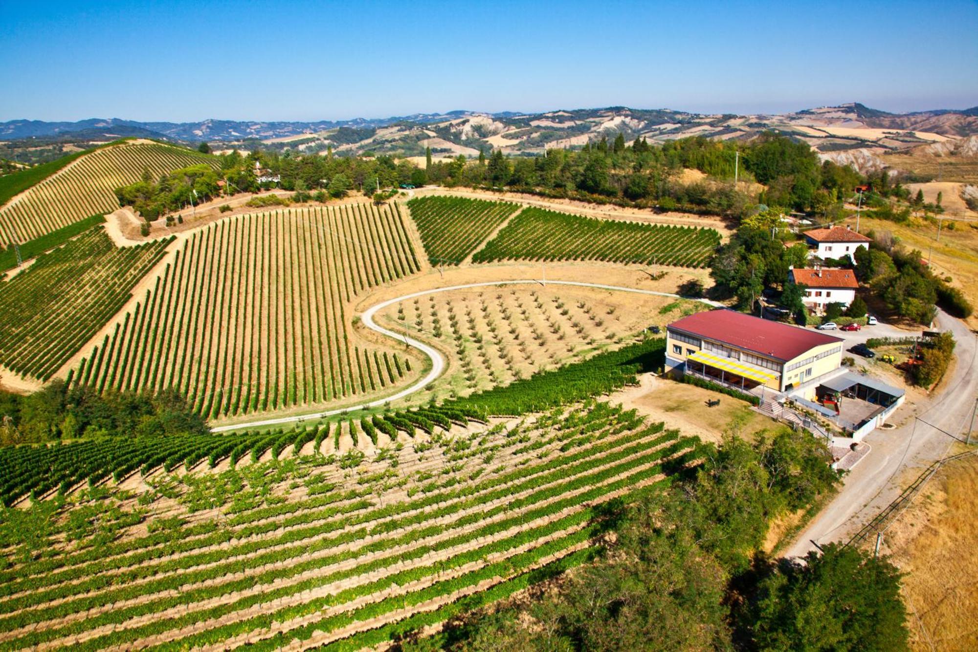 Podere Riosto Cantina&Agriturismo Pianoro Exteriér fotografie